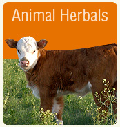 Animal Herbals