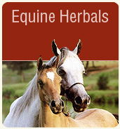 Equine Herbals