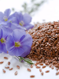 Flax seed - Linseed